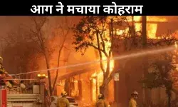 आग ने मचाई तबाही, लूटपाट शुरू, स्टैंडबाय पर नेशनल गार्ड्स, लॉस एंजिल्स में ये क्या हो रहा है?