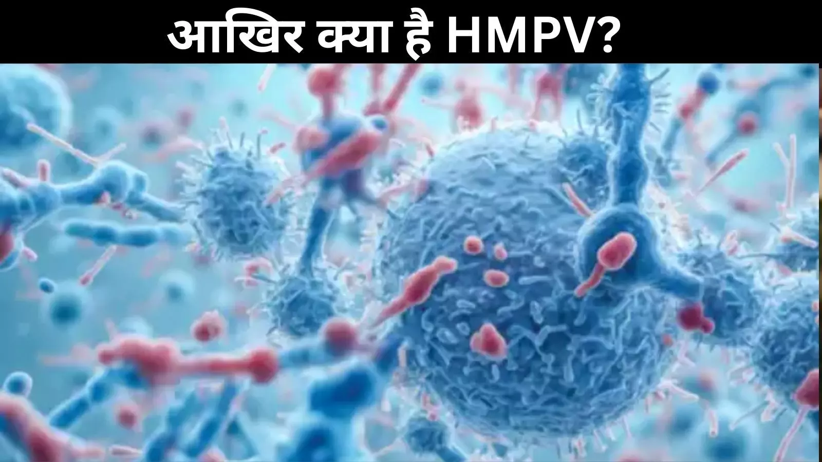 HMPV ने बढ़ाई दुनिया की चिंता? भारत में मिले अब तक इतने केस