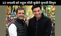 दिल्ली विधानसभा चुनाव: राहुल गांधी करेंगे जय भीम, जय संविधान रैली से आगाज