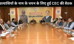 दिल्ली विधानसभा चुनाव: भाजपा ने जारी की दूसरी सूची, 29 उम्मीदवारों के नाम का ऐलान