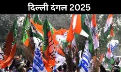 क्या है 29 सीटों की उलझी गणित, AAP, कांग्रेस- BJP के लिए लिए बनी चुनौती