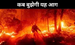 लॉस एंजिल्स पूरी तरह तबाह, आखिर अपने घरों को कैसे बचा रहे हैं लोग?