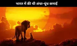 हॉलीवुड की ये 10 फिल्में, हिंदी बॉक्स ऑफिस पर मचा दिया धमाल