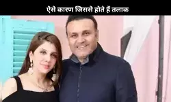 कमल हासन से लेकर वीरेंद्र सहवाग तक ग्रे तलाक, आखिर क्या है यह?