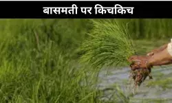 बासमती GI टैग पर भारत-पाकिस्तान में मची रार, क्यों रोड़ा बना मध्य प्रदेश?