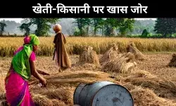 कृषि बनेगा विकसित भारत की विकास यात्रा का पहला इंजन, बजट 2025 में क्या है खास