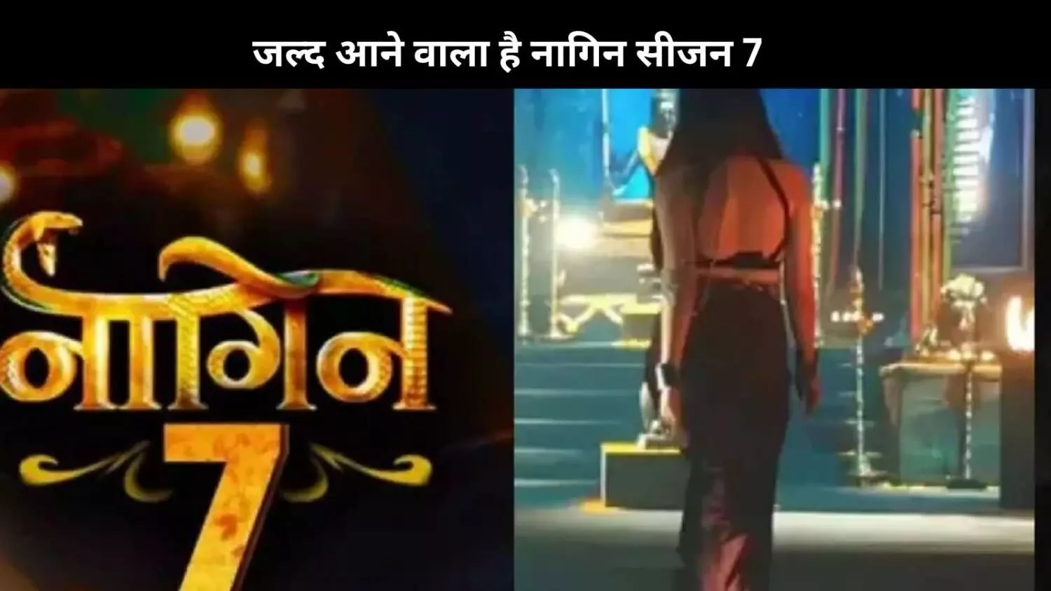 Naagin 7: एकता कपूर ने नए सीजन को लेकर किया ऐलान, कौन होगी शो की लीड एक्ट्रेस?