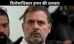 राहुल गांधी ने देश की गरिमा को पहुंचाई ठेस, BJP ने की विशेषाधिकार हनन के तहत एक्शन की मांग