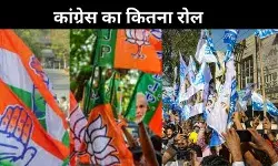 आम आदमी पार्टी की हार में कांग्रेस का हाथ,आखिर क्या बोलते हैं आंकड़े