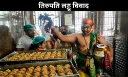 तिरुपति लड्डू विवाद : जांच से पता चला कि ब्लैक लिस्ट में शामिल डेयरियों की साजिश