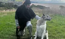 इस एक्टर ने छोड़ी इंडियन एयरफोर्स, कई जगहों पर की नौकरी... लेकिन बन गया बॉलीवुड का टॉप विलेन