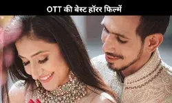 क्या Yuzvendra Chahal- Dhanashree Verma का हो गया तलाक, इतने करोड़ में बनी बात!