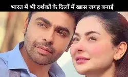 Mere Humsafar से लेकर Kabhi Mein Kabhi Tum तक ये 7 पाकिस्तानी शो देते हैं खास संदेश