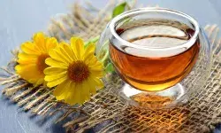 गले की खराश और खांसी में राहत देंगी ये 6 हर्बल चाय, बस आप सही से बनाएं