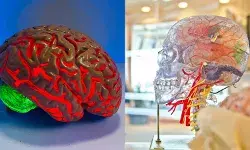 जीते जी मौत के समान है ये स्थिति, जानें सीनियर न्यूरोलजिस्ट ने क्या कहा