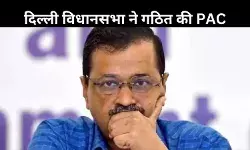 बाहर आएगा दिल्ली आबकारी नीति का काला सच? PAC 3 महीने में देगी CAG ऑडिट की रिपोर्ट