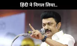 उत्तर भारत में पानी पूरी, चाय खरीदने के लिए आनी चाहिए हिंदी, भड़क गए स्टालिन