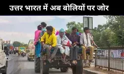 तमिल के लिए हिंदी क्यों नहीं खतरा, उत्तर भारत में बोलियों का हो रहा उभार