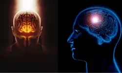 मात्र बादाम के आकार का होता है ये अंग और कंट्रोल करता है पूरी बॉडी