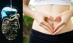 गट हेल्थ को सुधारने के घरेलू उपाय, आखिरी 3 टिप्स हैं बेहद आसान