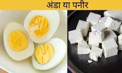 अंडा या पनीर...क्या है प्रोटीन का बेस्ट सोर्स, लॉजिक से जानें