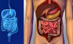 सुबह पेट साफ नहीं होता है तो डायट में शामिल करें ये हाई फाइबर फूड्स