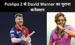 David Warner का तेलुगु फिल्म में कैमियो, Pushpa 2 से जुड़ा है खास कनेक्शन!