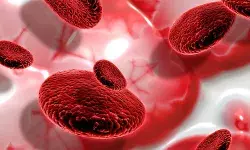 ये फूड खाने से बनता है हीमोग्लोबिन, शरीर में करता है कई जरूरी काम