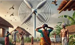 क्लीन एनर्जी की कीमत, माइग्रेन-इनसोमनिया से जूझ रहे गुजरात के गांव