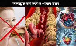 मस्ती से धड़केगा दिल, जब कम होगा कोलेस्ट्रॉल और नियंत्रित होगा ब्लड फ्लो