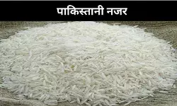 भारतीय बासमती की चोरी कर कैसे निर्यात कर रहा पाकिस्तान?