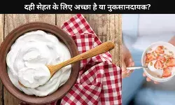 गर्मी में जरूर जानें दही खाने का सही समय और तरीका, मिलेंगे कई गुना फायदे