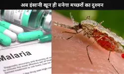 यह दवा बन सकता है मलेरिया फैलाने वाले मच्छरों के लिए ज़हर