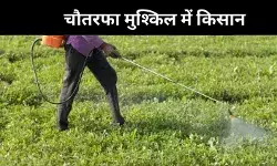 आंध्र प्रदेश में किसानों का दुश्मन बना उर्वरक, लागत के साथ खुदकुशी में इजाफा