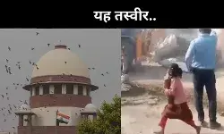 यह तस्वीर झकझोरती है, यूपी में बुलडोजर एक्शन देख बोला सुप्रीम कोर्ट