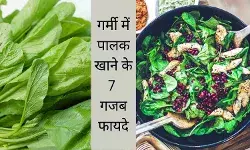 बीपी कंट्रोल से लेकर हाइड्रेशन तक, गर्मी में पालक खाने के 7 फायदे