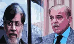 tahawwur rana and shehbaz sharif
