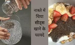 नाश्ते में खाएं चिया सीड्स, दिन की शुरुआत के लिए बेस्ट हैं अलसी के बीज