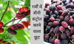 गर्मी में बीपी कंट्रोल करेगा ये फल, दिमाग भी ठंडा रहेगा और शरीर भी