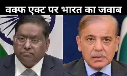 पाकिस्तान की बोलती बंद! भारत ने वक्फ कानून पर दिया करारा जवाब