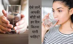 क्या हर किसी को चाहिए होता है हर दिन 8 से 10 गिलास पानी? कैसे जानें?