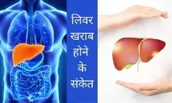 लिवर खराब होने पर मिलते हैं ये संकेत, अनदेखा किया तो बिगड़ जाएगी हेल्थ