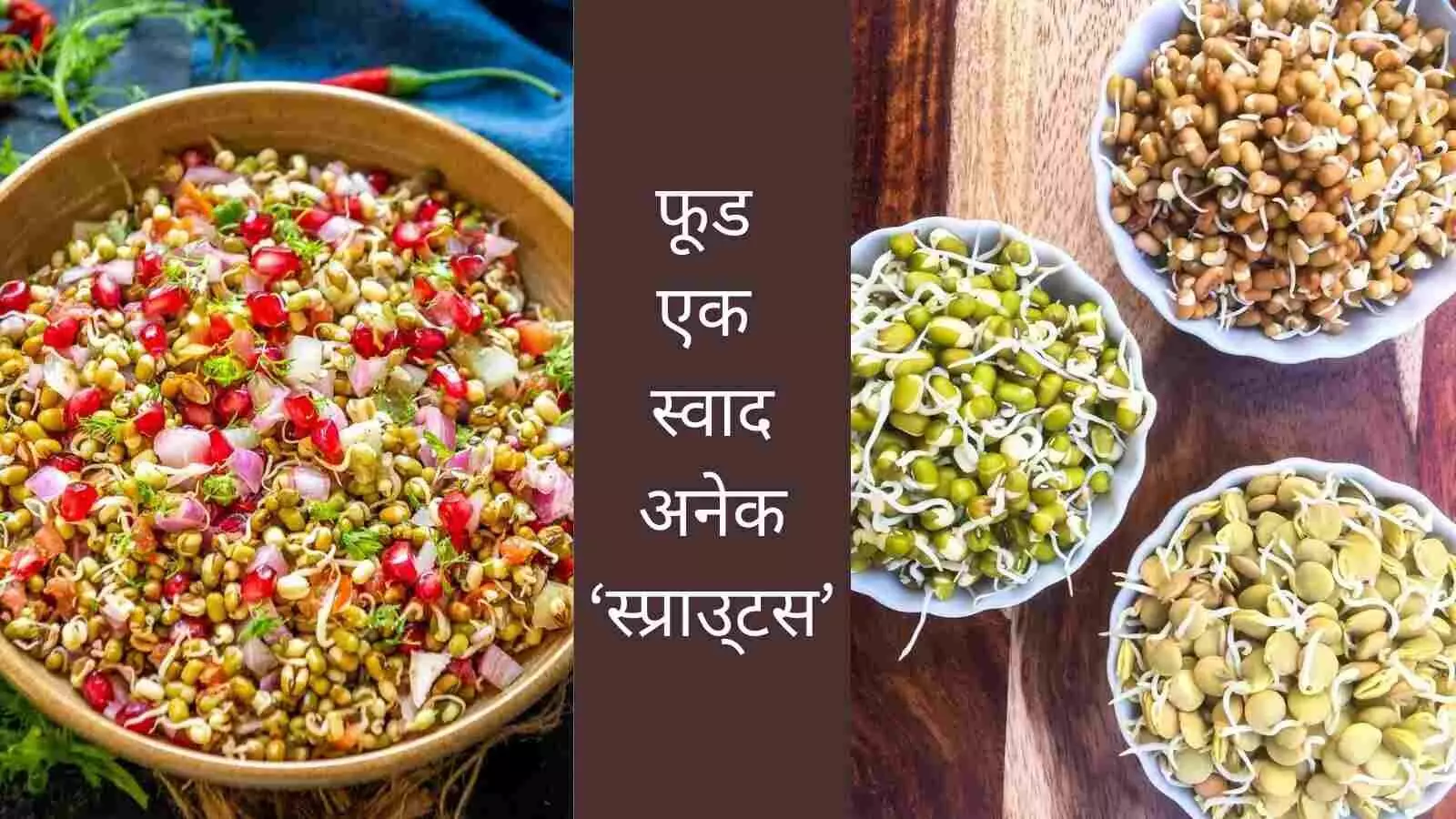 sprouts benefits healthy breakfast sprouts benefits healthy breakfast