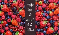 Berries knee pain prevention