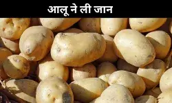 पत्नी ने काटा बड़ा आलू पति ने की हत्या, बिहार के मधुबनी में खौफनाक वारदात