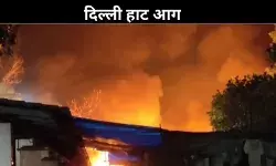 दिल्ली के दिल्ली हाट में भीषण आग, कई दुकानें जलकर खाक