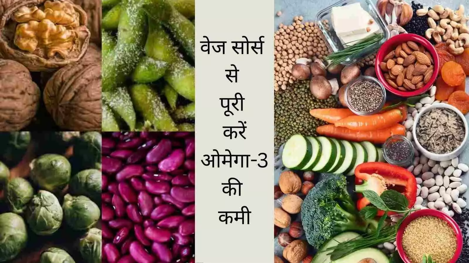 Veg food options omega 3 fatty acid Veg food options omega 3 fatty acid