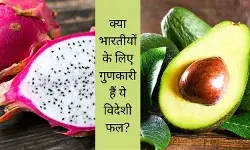 Dragon Fruit Avocado Kiwi Foreign fruits benefits for Indian