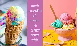 adulterated ice cream home test