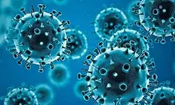 कोविड मौतों की सच्चाई उजागर, 2021 में आधिकारिक आंकड़ों से 20 लाख ज्यादा मौतें